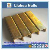 Gold Colored Staples for Furniture Hardware Fitting thumbnail-1
