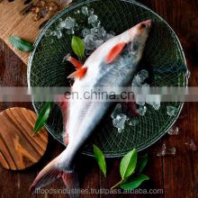 Frozen Pangasius (Pangasius Hypophthalmus) thumbnail-1
