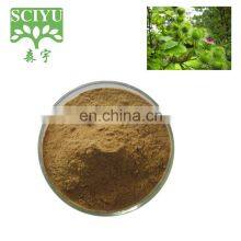 Great Burdock Achene Extract / Arctium Lappa L/CAS 20362-31-6 thumbnail-1