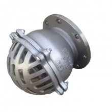 ANSI Bottom Foot Valve 4in 150lb Cast Steel Cast Iron Ductile Iron GGG40 GGG50 Lift Strainer Flange Fitting With 304 Screen thumbnail-3