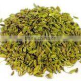 Fennel Seed thumbnail-1