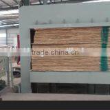 Multi-purpose Plywood Cold Press Machine/ Hydraulic Cold Press /CE Approved Hot Sale Cold Press thumbnail-1