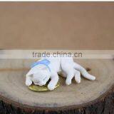 Authentic Computer Money Little Black Cat/flowers thumbnail-5