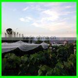HDPE Hail Netting Anti Hail Netting Plastic Anti-hail Nets thumbnail-2