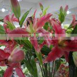 Cheap Artificial Wholesale Silk Flowers Lily Flower Long Stem thumbnail-6