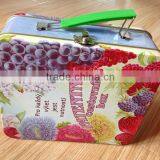 Sweet Metal Storage Tin Box With Handle With Fruit Prining