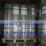 Galvanized Welded Wire Mesh