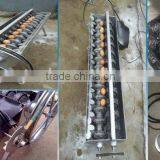 Lowest Price Egg Washing Machine/hen Egg Cleaning Machine/automatic Egg Cleaner thumbnail-4