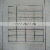 2x4 Galvanized Welded Wire Mesh Panel