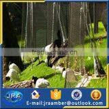 Aviary Mesh /bird Aviary Cable Net /aviary Bird Netting thumbnail-4