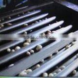 Tomato Washing and Grading Machine thumbnail-5