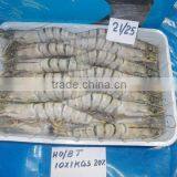 FROZEN HEAD ON BLACK TIGER SHRIMPS thumbnail-2