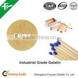 China Supply Best Price for Industrial Gelatin thumbnail-6