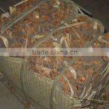 Cinnamon/cassia Whole