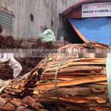 SQUARE CUT CINNAMON thumbnail-3