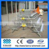 Poultry Cages for Layer Chickens thumbnail-1