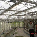 How to Build a Greenhouse thumbnail-3