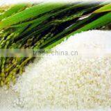 FE-06 High Speed Soybean and Rice Grinding Machine Sesame Almond Maker Peanuts Machine thumbnail-3