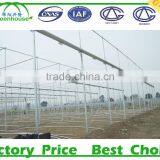 Metal Structure Greenhouse thumbnail-5