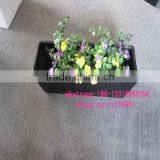 LXY072004 China Wholesale High Quality Outdoor Decoration Large Bonsai Plant Pots thumbnail-1