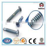 Stainless Steel Self Tapping Screws thumbnail-1