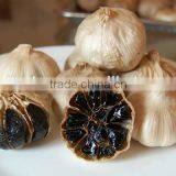 Chinese Black Garlic no White Garlics thumbnail-2