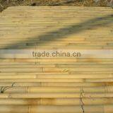 Tonkin Bamboo Cane Bamboo Stick for Gardens for Farm Planting