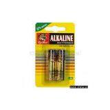 LR6 Alkaline Battery (Size AA/UM-3)