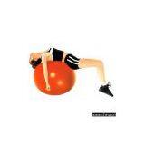 Gym Ball