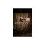 Furniture Display , Home Decoration Pieces for Interior Decoration thumbnail-1