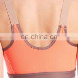 Sports Bra Latest Fashion Workout Bra Underwear Fitness Bra thumbnail-4