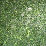 Frozen Spinach Chopped thumbnail-2