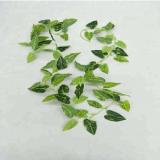 Decorative High Quality Artificial Holland Ivy Vine