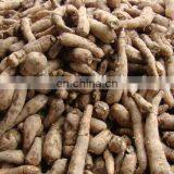 Multifunction Starch Machine /cassava Starch Price/starch Production Line thumbnail-2