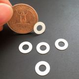 Micro Ceramic Washers and Rings