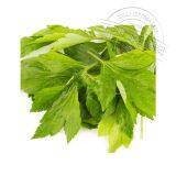 High Quality Herbal Essential Oil Batch thumbnail-2