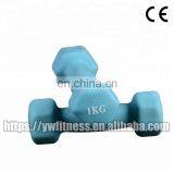 China Factory Price Colorful Fitness Accessories Dumbbell for Sale thumbnail-4