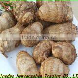 China Tomato Top Quality Competitive Price/fresh Tomato thumbnail-3