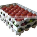 automatic recycled waste paper molded pulp fruit trays