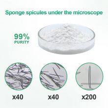 Hydrolyzed Sponge Spongilla Spicules Powder Cosmetic Ingredient thumbnail-2