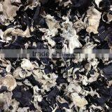 Dried Black Fungus Back White