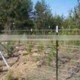 Farm Fence