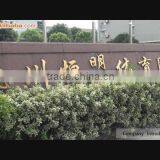 Hangzhou Forever Fitness Co., Limited company overview - view 1 thumbnail