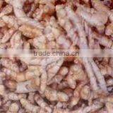 Turmeric thumbnail-4