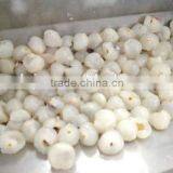 Best Quality Litchi Pericarp Removing Machine thumbnail-4