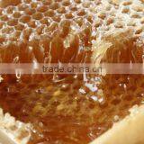 Hot Sale Low Price Electrical 3/three Frame Honey Extractors thumbnail-6