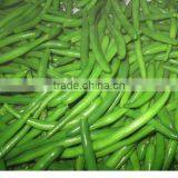 Iqf Frozen Green Beans Cut With Best Quality and Hot Price thumbnail-2