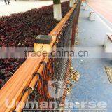 High-quality Garden Fence Galvanizing Steel Park Fence thumbnail-3