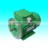 YE2-315S-2 (2 Pole Three Phase High Efficient Asynchronous Industry Motor AC Motor) thumbnail-5