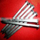 Big Quantity Galvanized Square Boat Nails